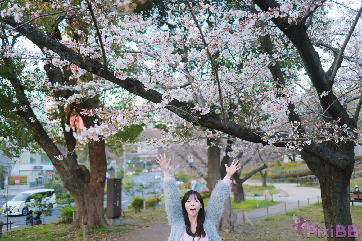 Patreon leeesovely Sakura PixiBB.COM 050