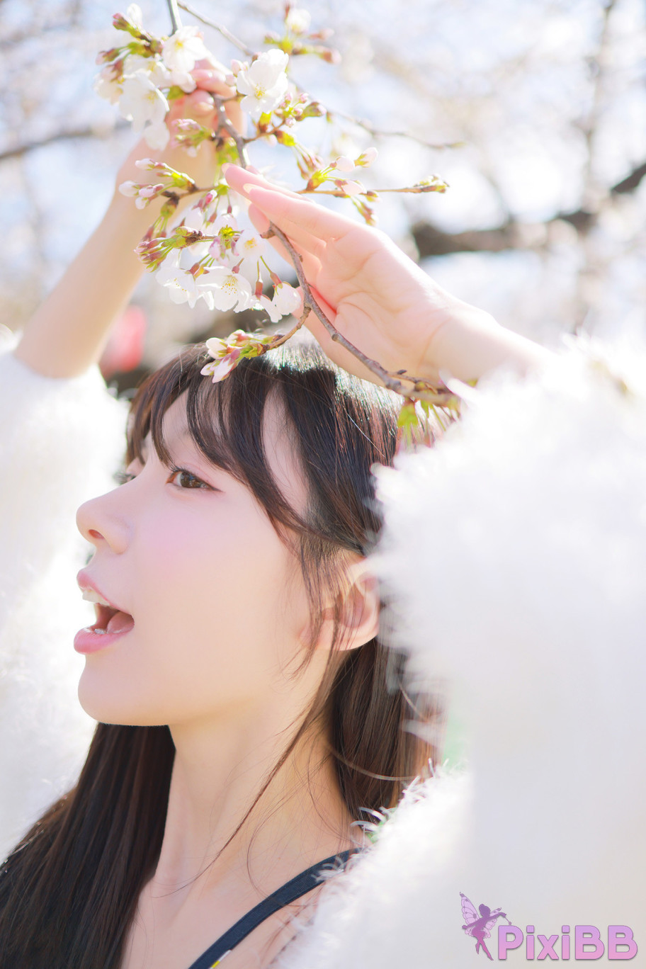 Patreon leeesovely Sakura PixiBB.COM 125