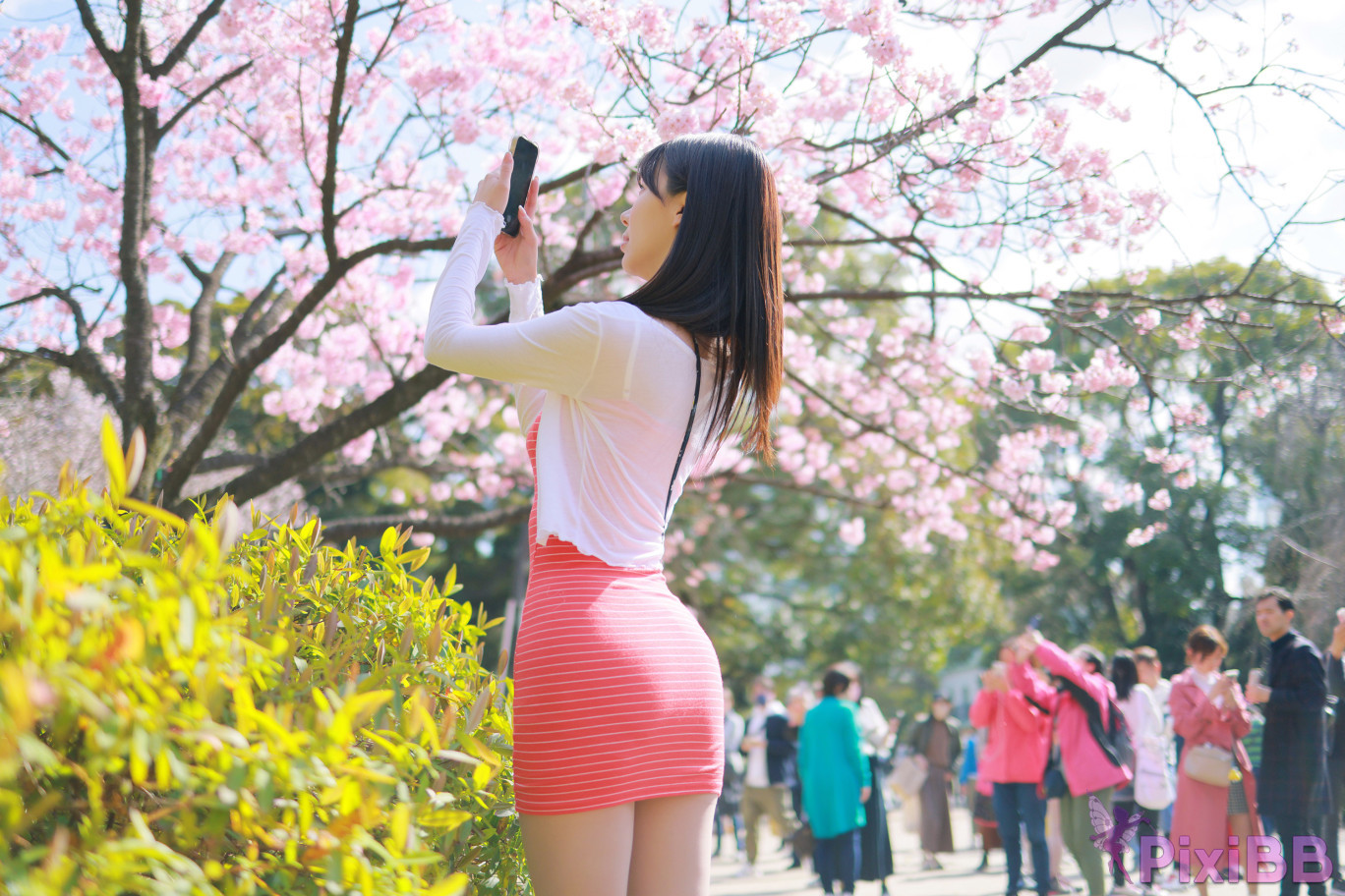 Patreon leeesovely Sakura PixiBB.COM 131