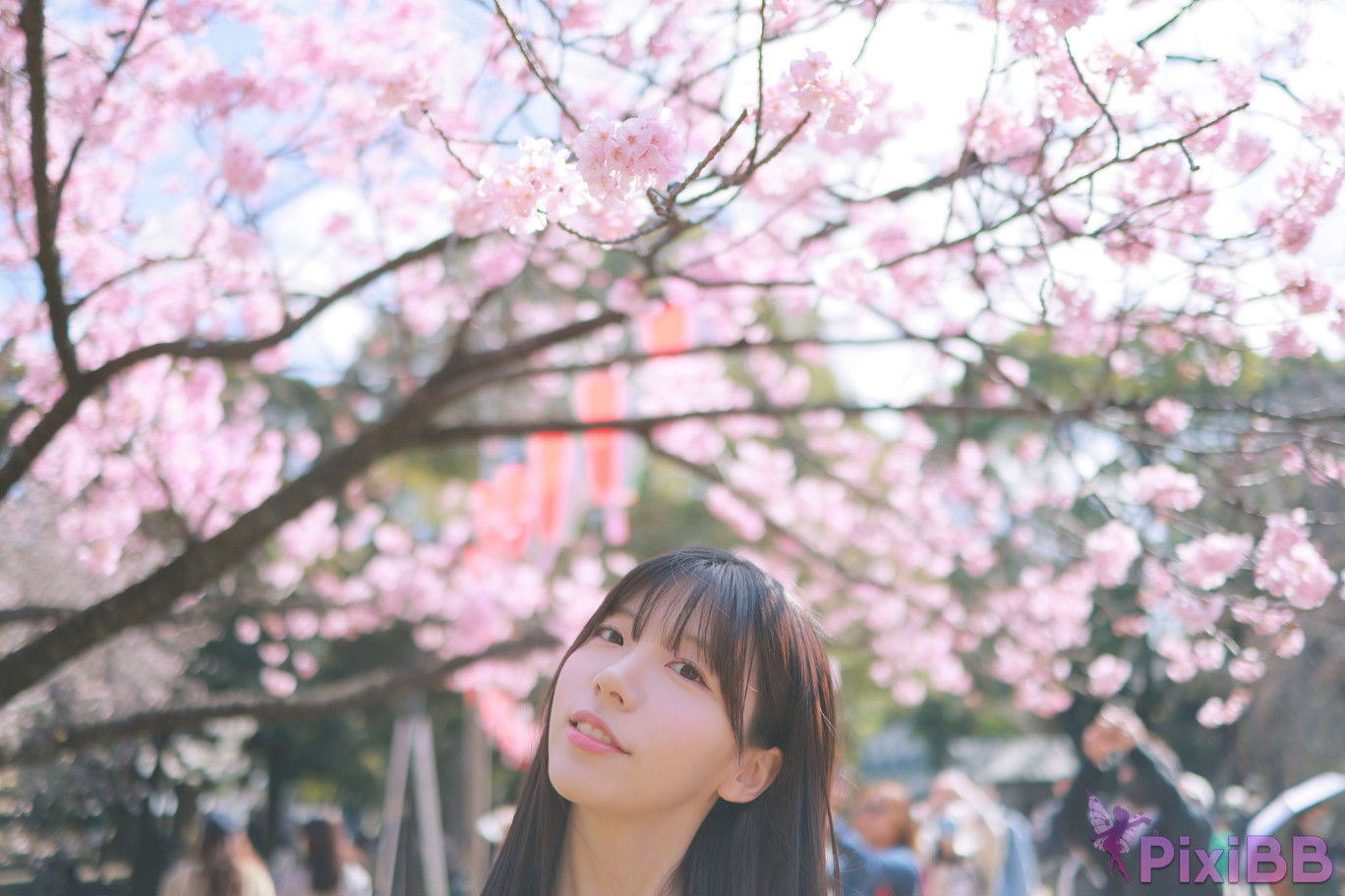 Patreon leeesovely Sakura PixiBB.COM 134