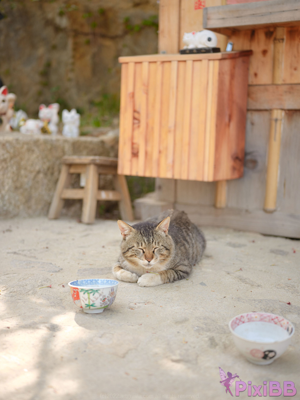 AG.401 Kang In kyung PixiBB.COM 014